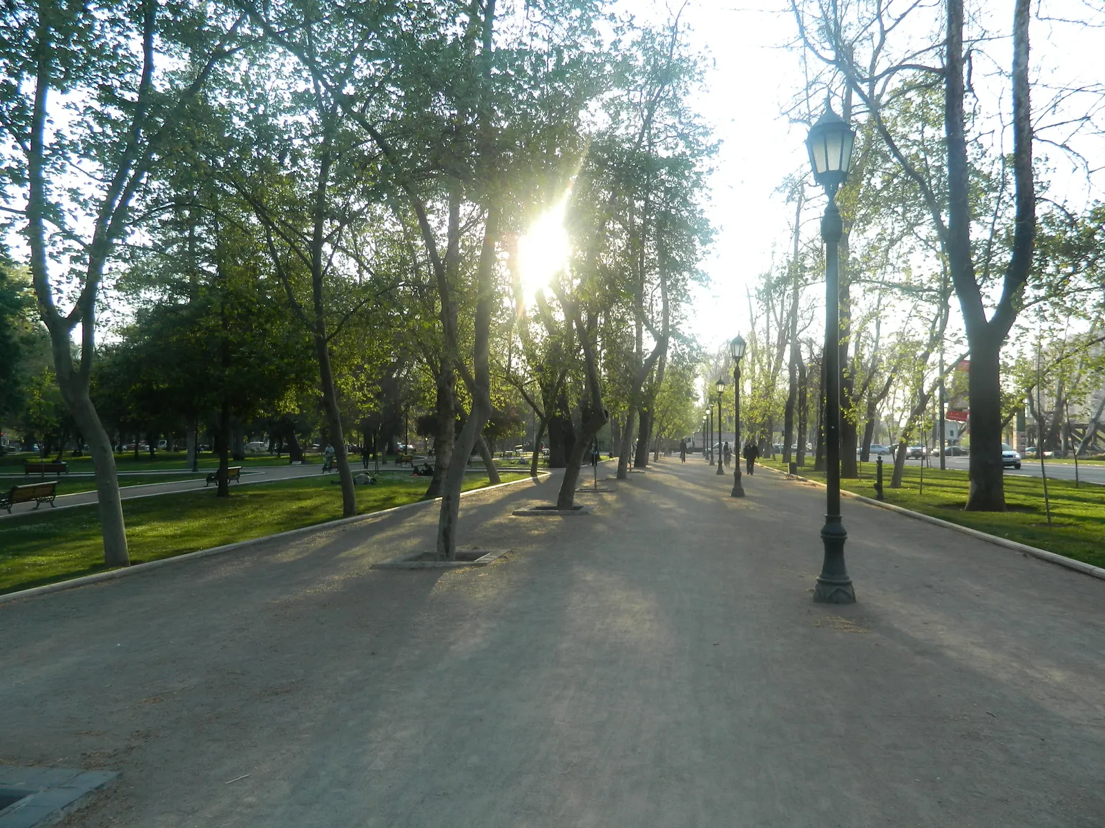 A wide gravel avenue through Parque Forestal in Santiago, lined with tall leafy trees and cast-iron lamp posts, with low sun coming through the branches