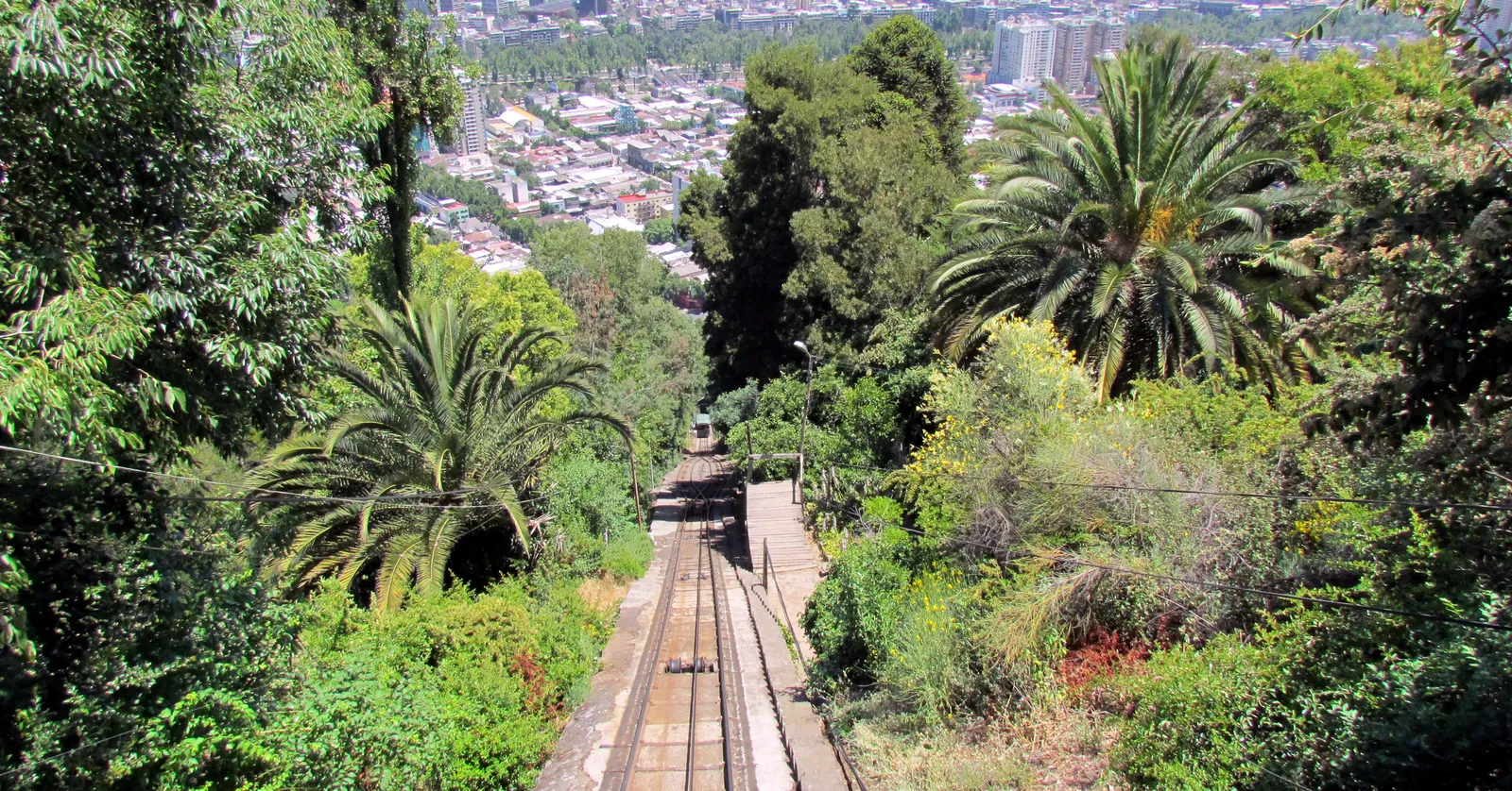The twin funicular track running steeply down San Cristóbal hill in Santiago through palms and shrubs, with the city spread flat across the valley beyond