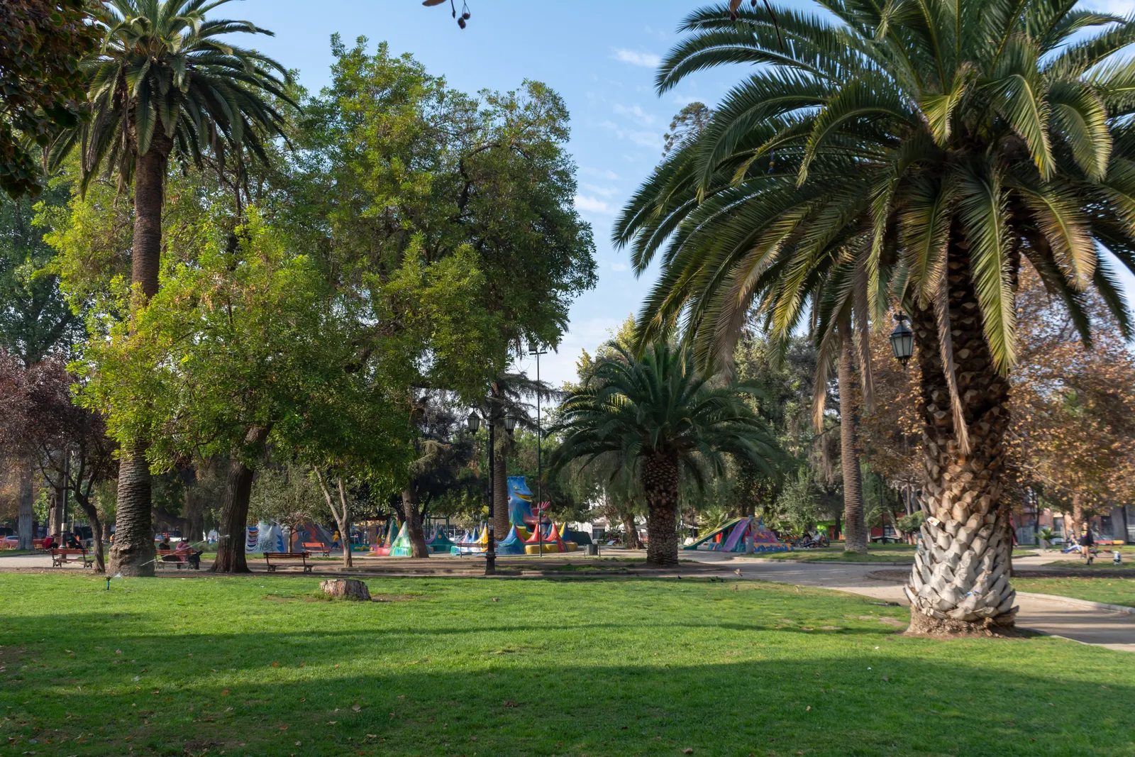 Lawn and mature palm trees in Plaza Brasil, Santiago, with a brightly painted children's playground under the trees behind