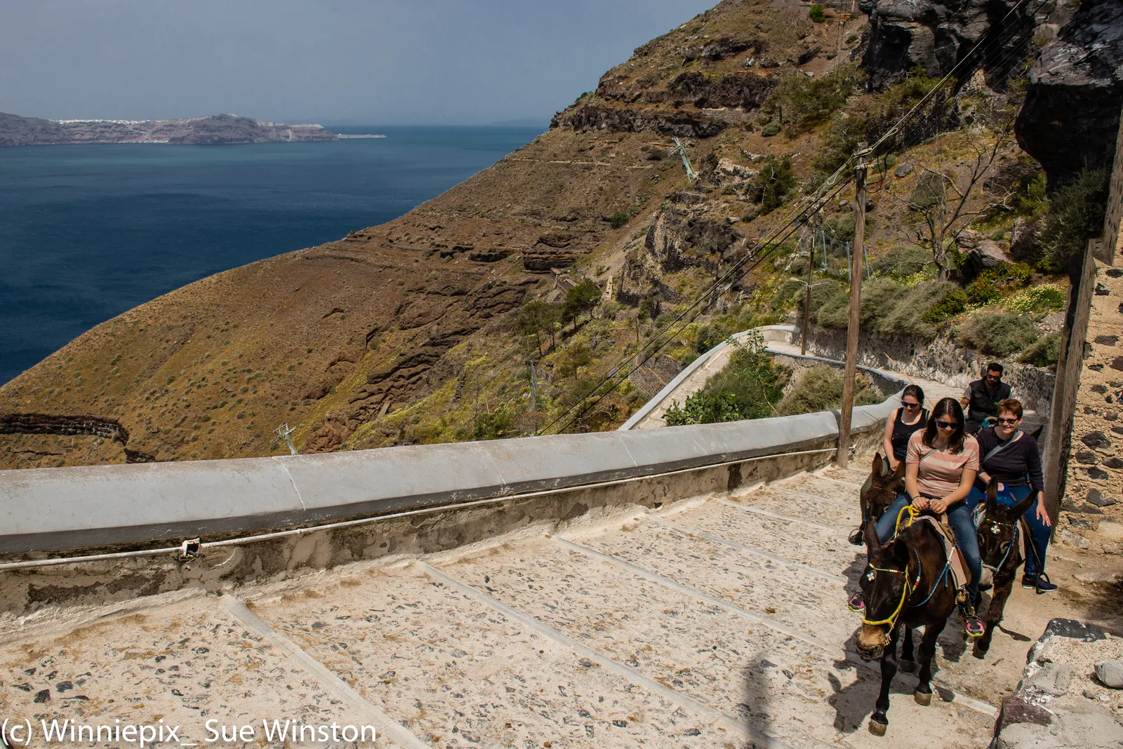 The stepped cobbled path zigzagging up the cliff from Fira's Old Port, with two donkeys carrying riders up it and the caldera water spread out below
