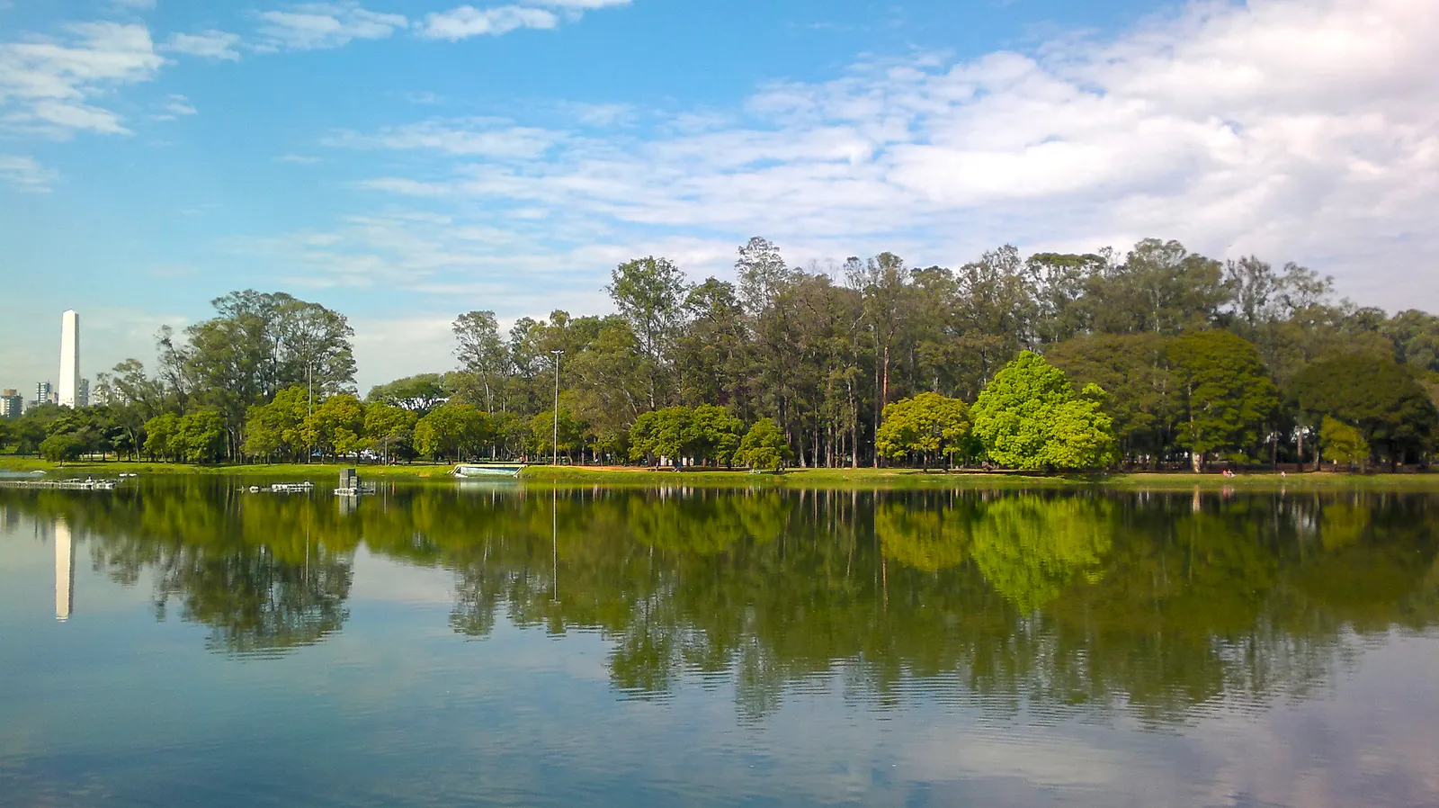 The lake in Parque Ibirapuera in São Paulo on a clear day, still water reflecting a bank of trees on the far side with the white shaft of the park's obelisk rising above them at the left