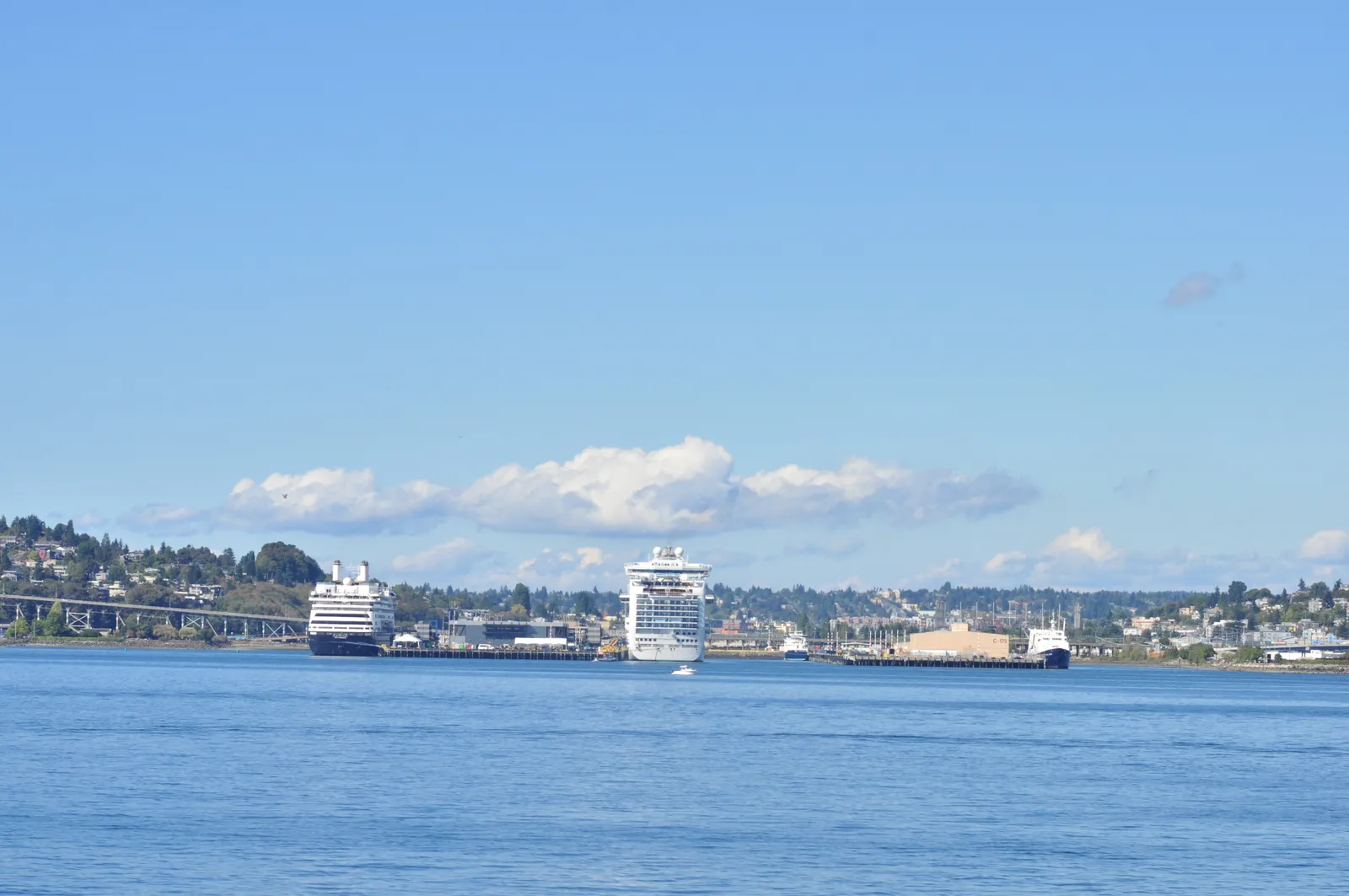 Two cruise ships docked at Pier 91 in Smith Cove, Seattle, seen across Elliott Bay, with the Magnolia hillside and a long bridge behind them