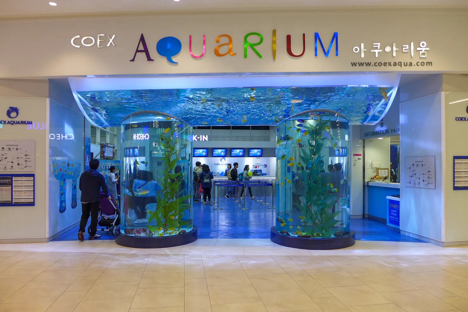 The entrance to the aquarium in COEX Mall, Seoul, with two tall cylindrical fish tanks either side of the doors and a wall of water behind the ticket desks