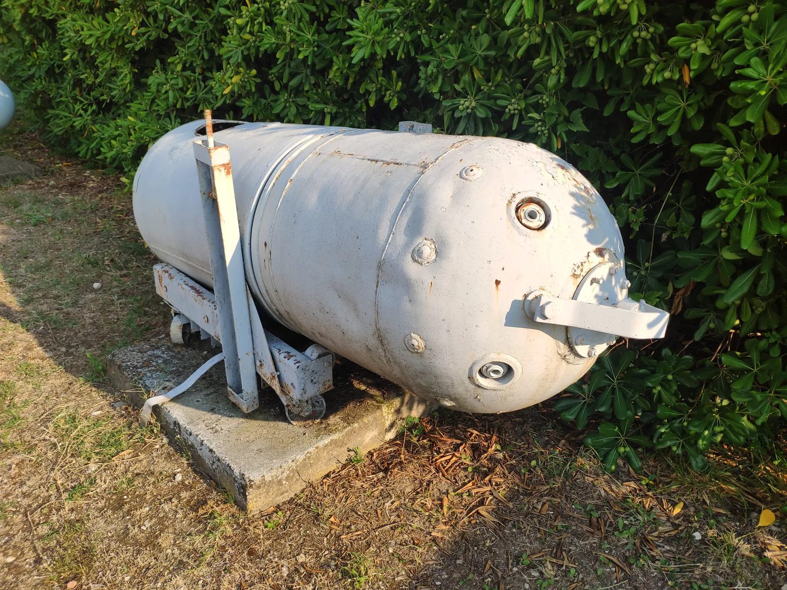 An early naval torpedo displayed outdoors on a low concrete plinth at the Croatian Maritime Museum in Split, its grey steel casing pitted with age against a hedge of dark green leaves