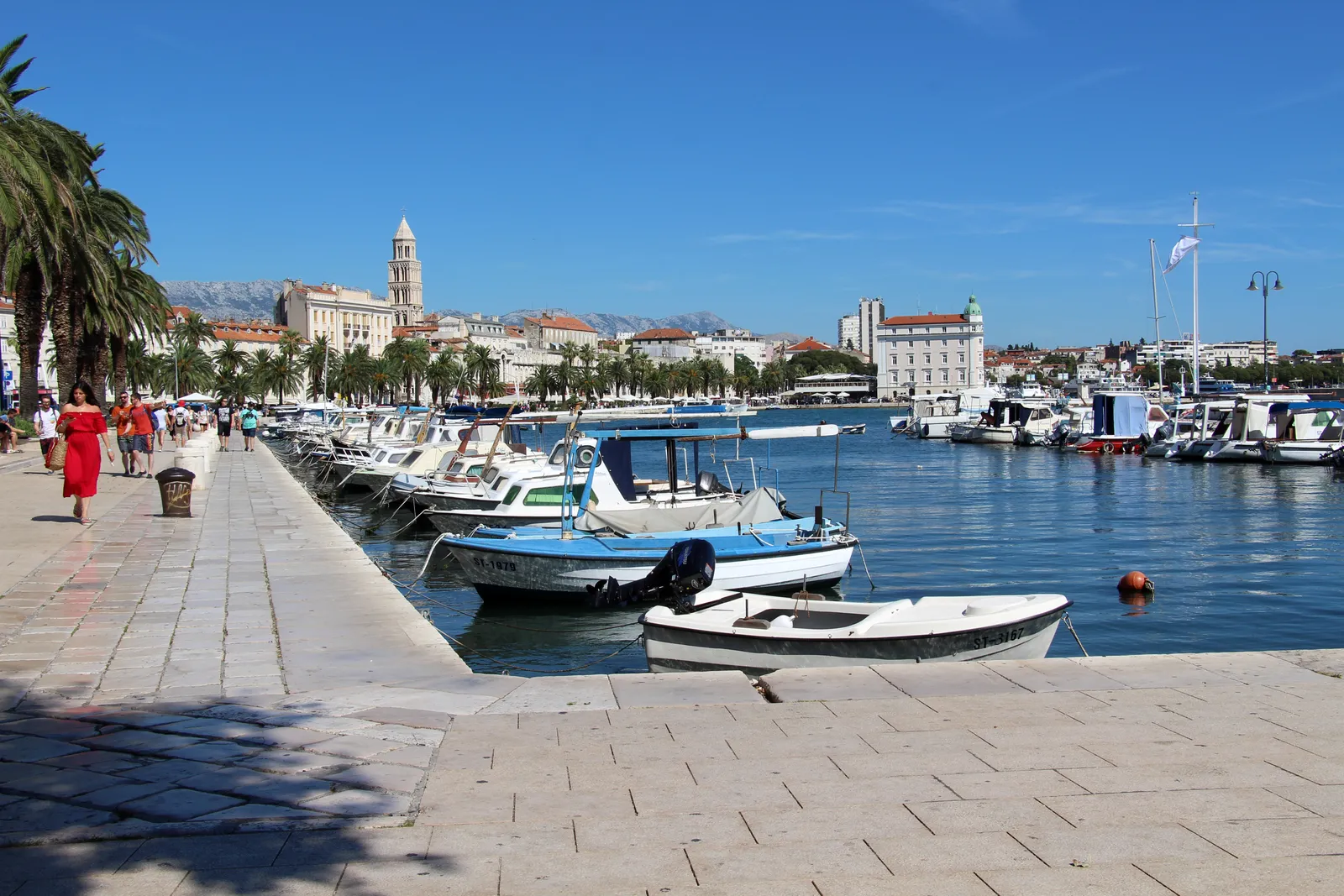 Small open fishing boats moored in a row along a stone quay at Matejuška in Split, palm trees and the waterfront promenade behind them and the cathedral bell tower in the distance