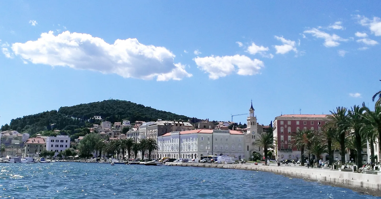 The wooded hill of Marjan seen along Split's western waterfront, a dark green pine ridge rising behind a line of cream and ochre buildings, palm trees and moored boats in the foreground