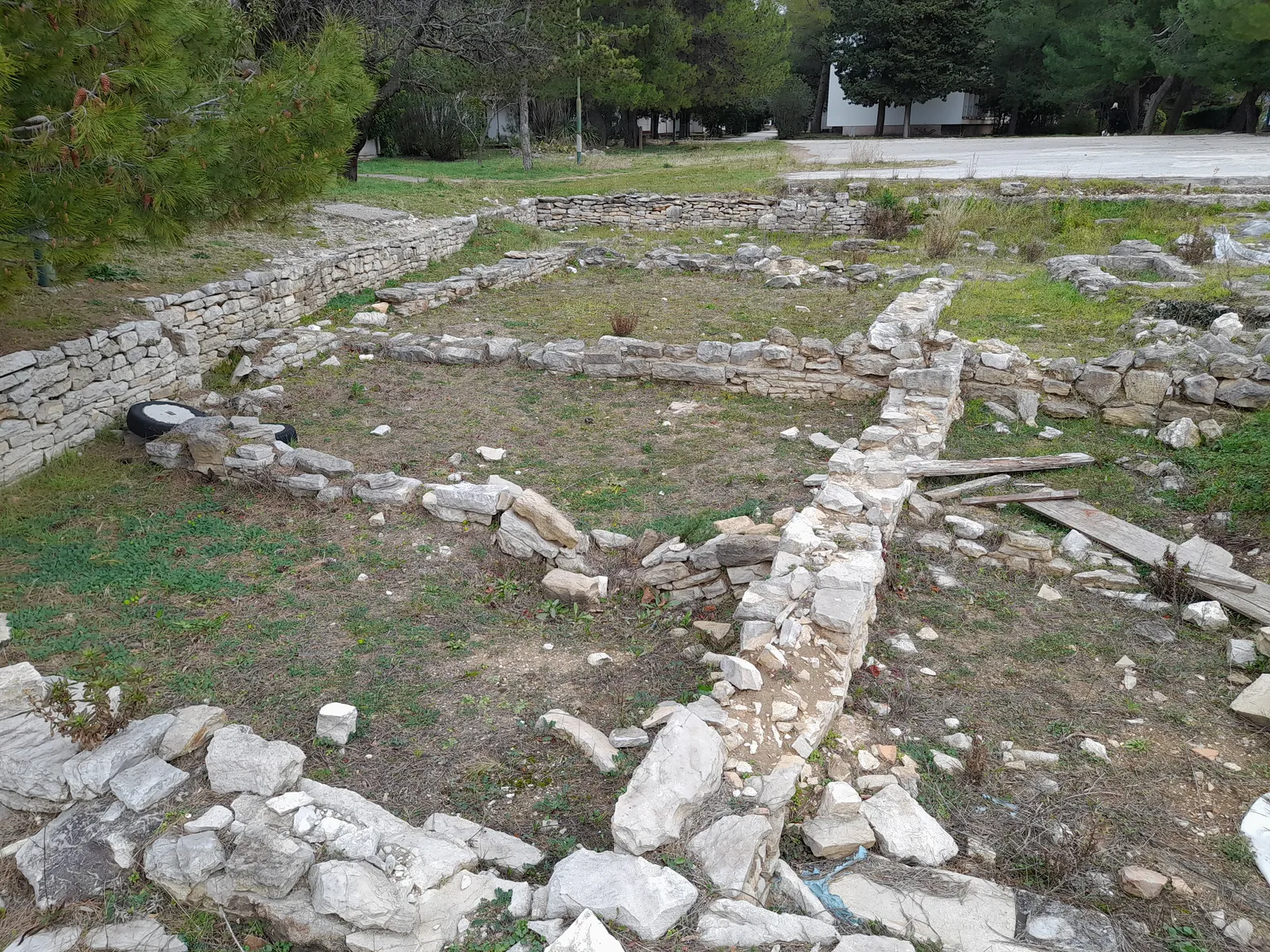Low stone foundations of Roman buildings at Siculi near Resnik in Kaštela, rows of rough limestone blocks marking out rooms and streets in a grassy clearing under pine trees