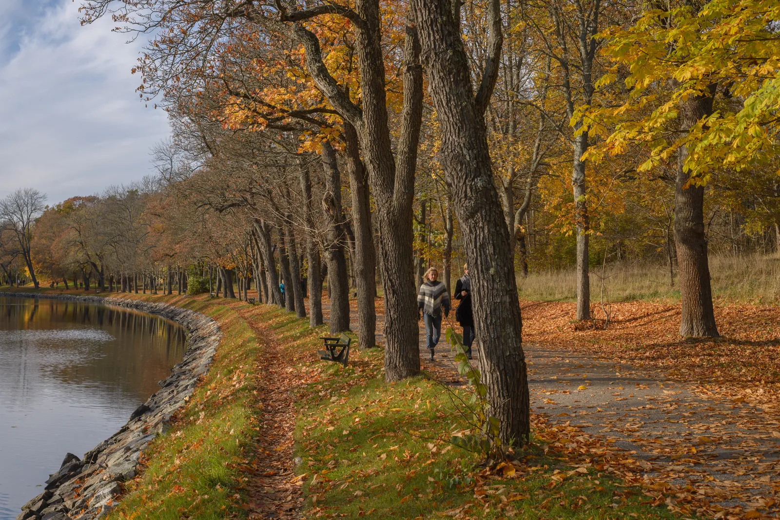 A gravel path on Djurgården in Stockholm running under an avenue of tall trees in autumn colour beside the still water of the Djurgården canal, with two people walking along it