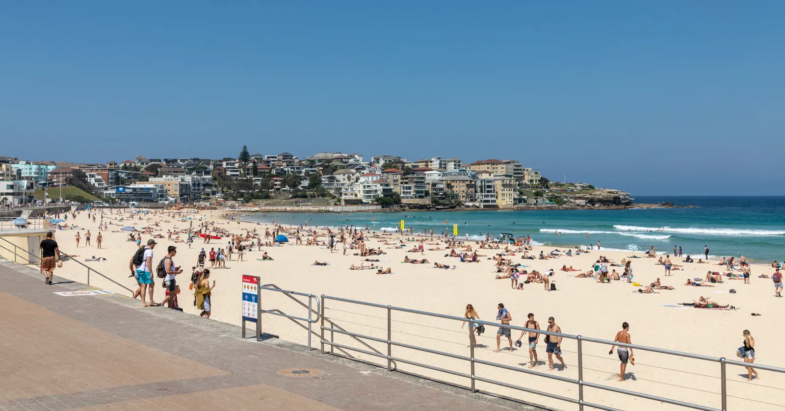 Bondi Beach in Sydney on a sunny day, the curve of pale sand crowded with swimmers below the promenade railing, with North Bondi's headland across the bay