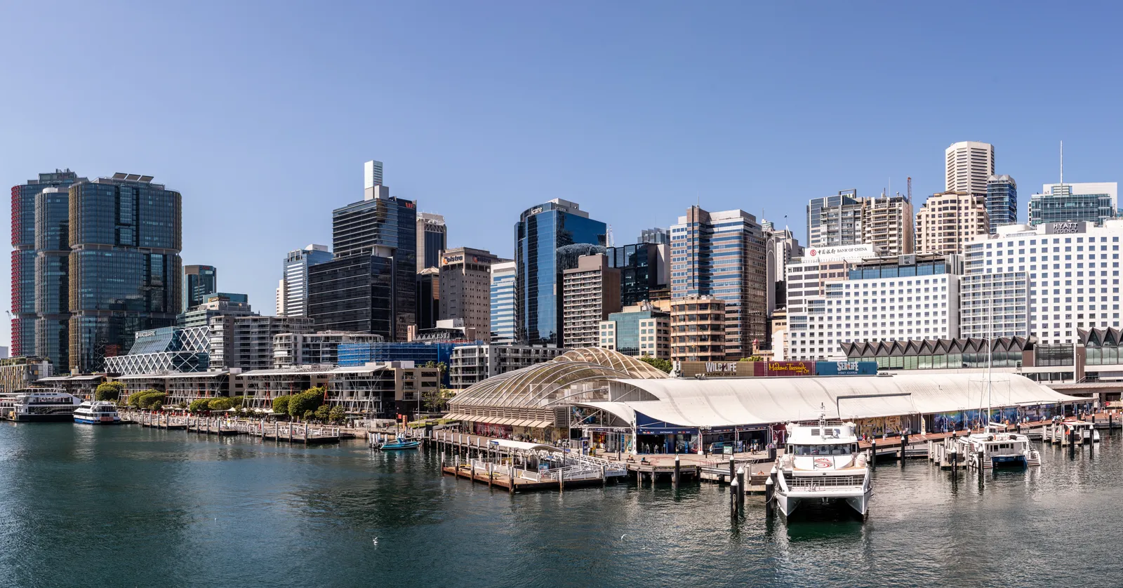 Darling Harbour in Sydney on a clear day, with the white roof of the aquarium wharf and moored ferries in front of the city towers along the eastern shore of Cockle Bay