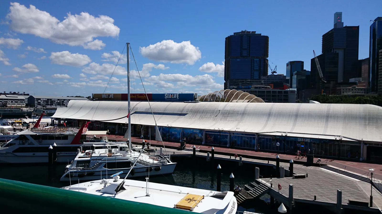 The long white canopy roof of SEA LIFE Sydney Aquarium on its wharf at Darling Harbour, with yachts moored alongside and office towers behind