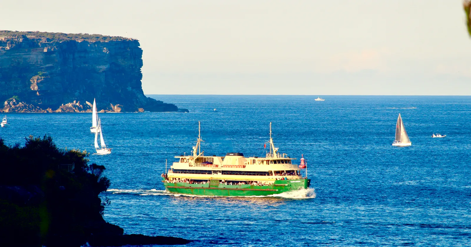 A green-and-cream Manly ferry crossing Sydney Harbour near its entrance, with yachts under sail and the sandstone cliffs of the Heads behind