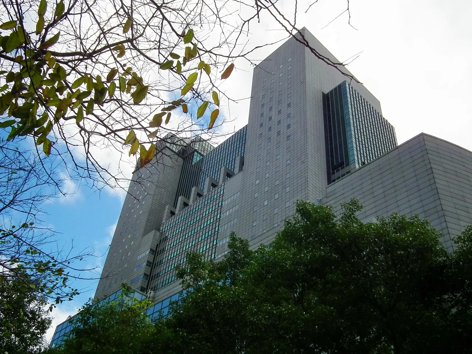New Taipei City Hall seen from below against a blue sky, a stepped grey tower with glazed bands, framed by tree branches in the foreground