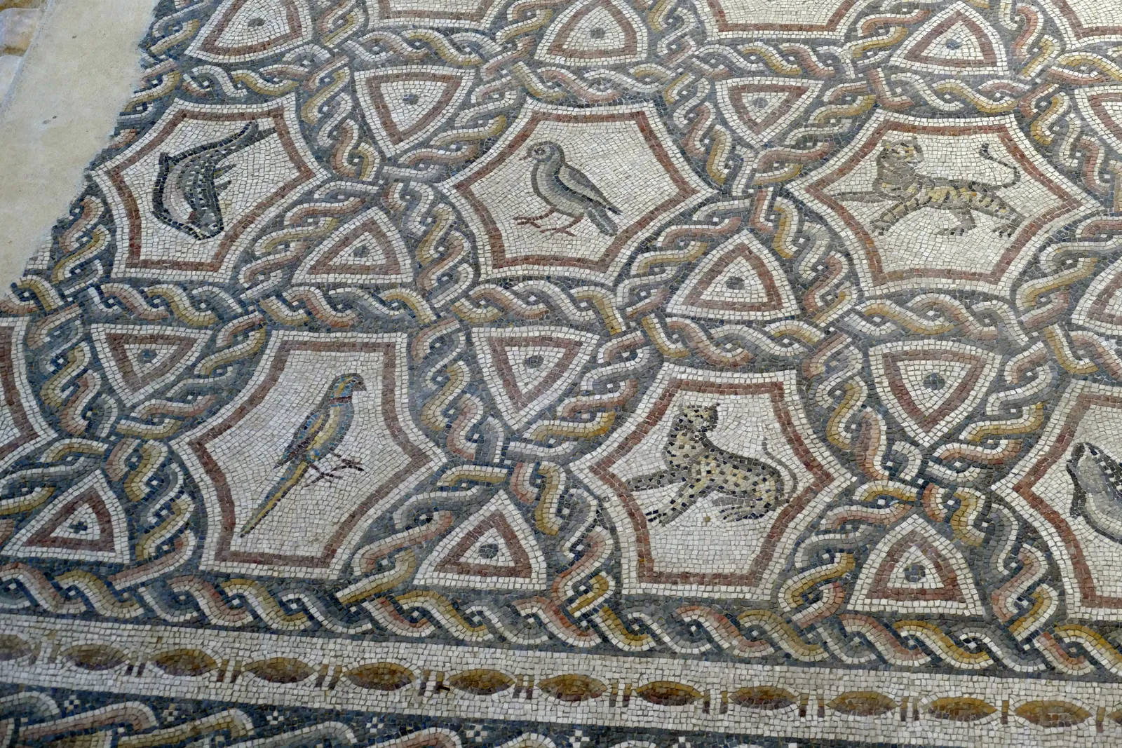 A section of the Lod Mosaic, interlocking geometric panels in cream, ochre and grey tesserae framing a leopard, a tiger and two birds, with a braided rope border running along the edge