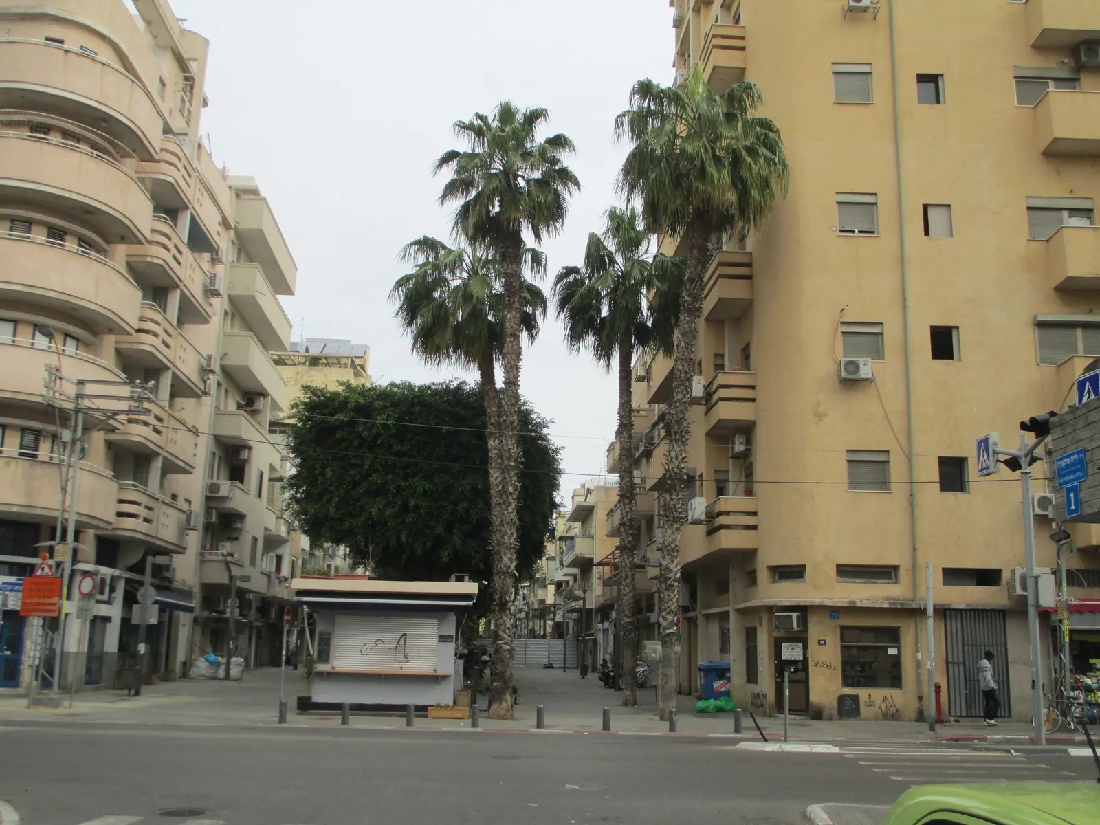 Washington Boulevard in Florentin, Tel Aviv, a short strip of tall palms and a small kiosk down the middle of the road with four-storey apartment blocks closing it off at both ends