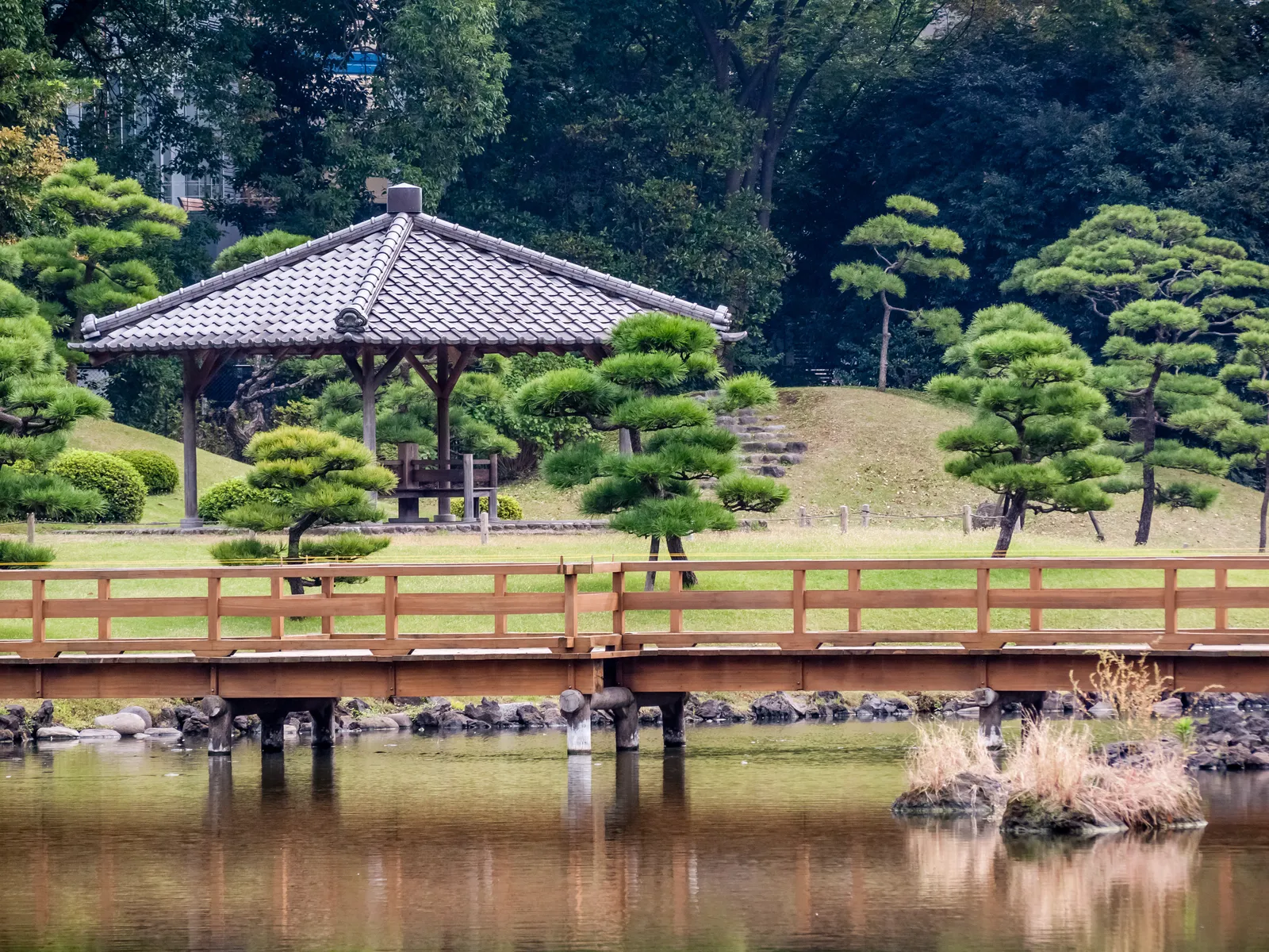 A tiled open pavilion on a small hill in Kyu-Shiba-rikyu Gardens in Tokyo, ringed by clipped pine trees, with a low wooden fence and the still water of the garden pond in the foreground