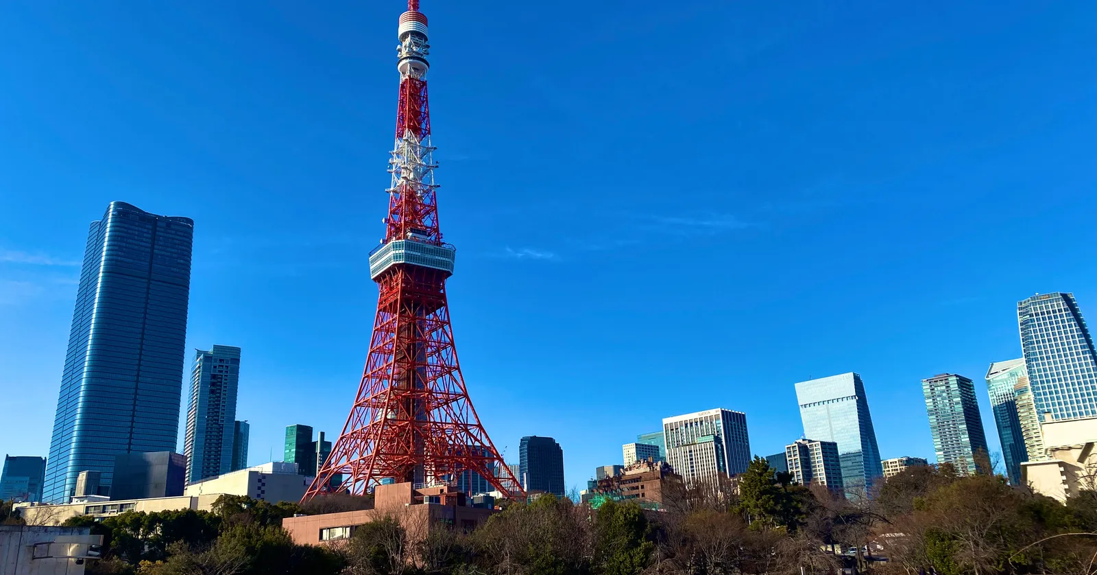 Tokyo Tower in red and white lattice steel rising over the lawn of Shiba Park under a clear blue sky, with glass office towers spread along the skyline on either side