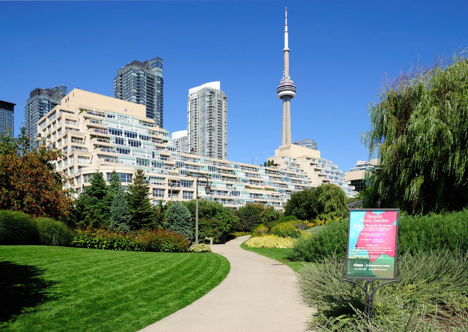A curving gravel path through the lawns and planting of the Toronto Music Garden on Queens Quay, with willows on the right, stepped waterfront apartment blocks behind and the CN Tower above them
