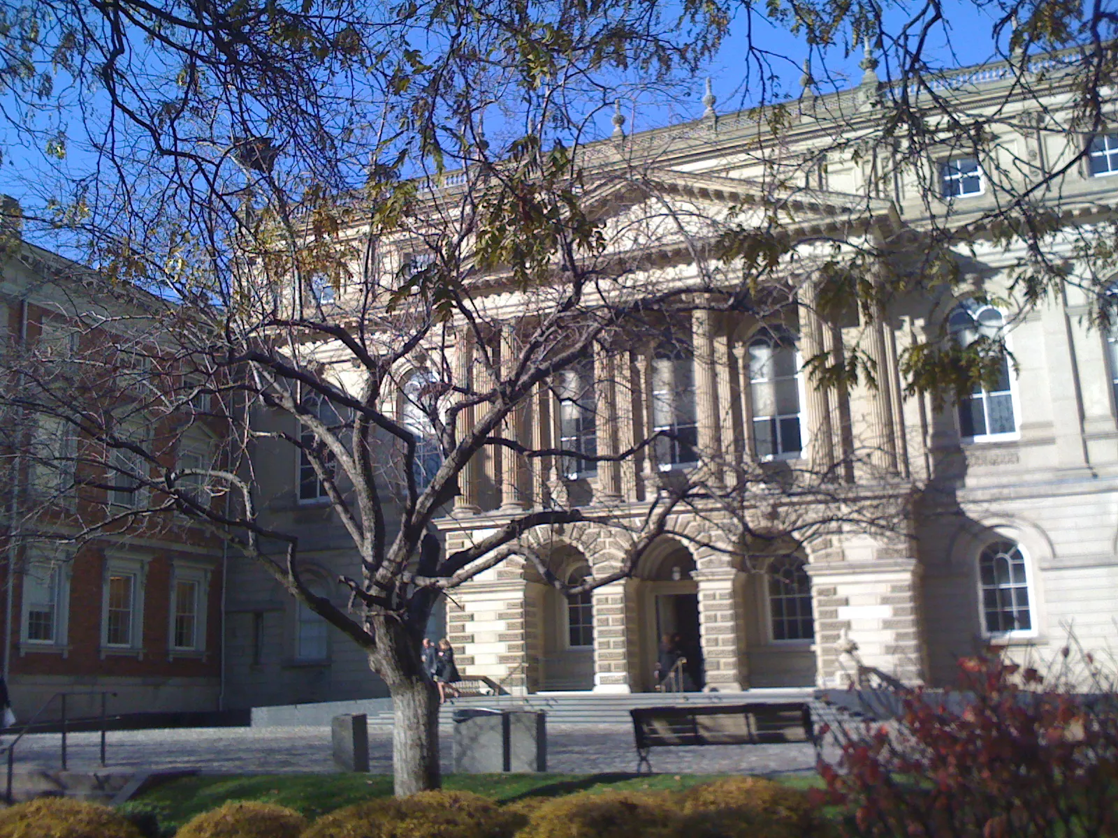The columned stone portico of Osgoode Hall in Toronto behind a bare tree, with arched ground-floor openings and a low wrought-iron fence along the lawn in front