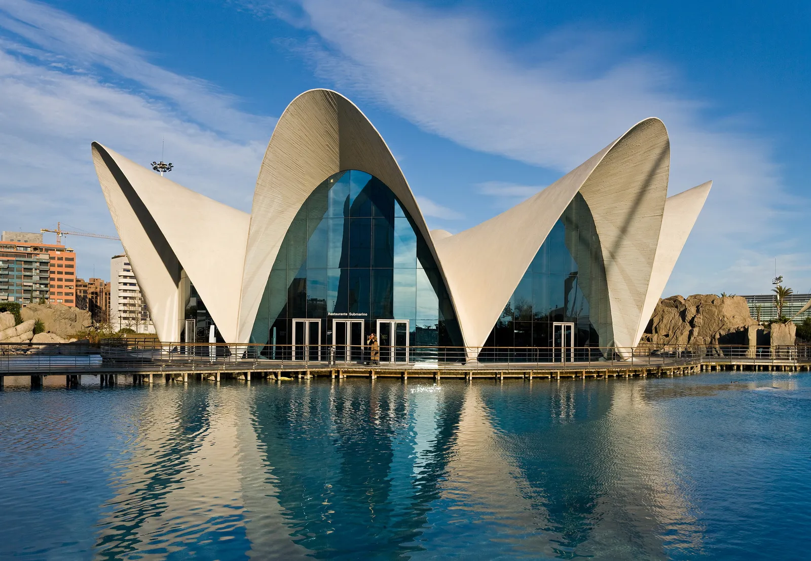 The entrance building of the Oceanogràfic in Valencia, white curved concrete petals folded over a glass drum, standing at the edge of a wide lagoon