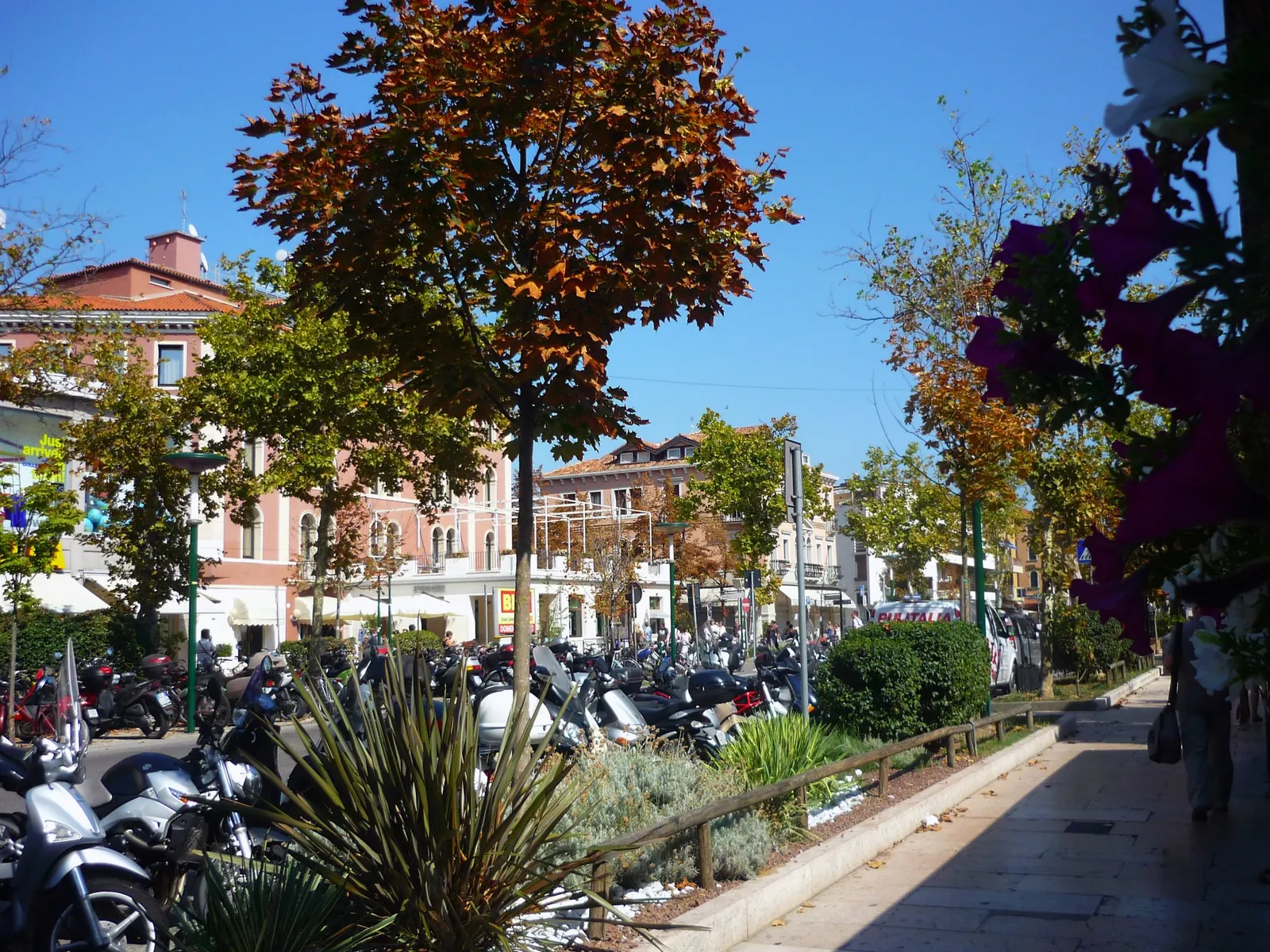 The Gran Viale on the Lido di Venezia, a broad tree-lined street with pastel buildings and shopfronts along it and long ranks of parked scooters at the kerb