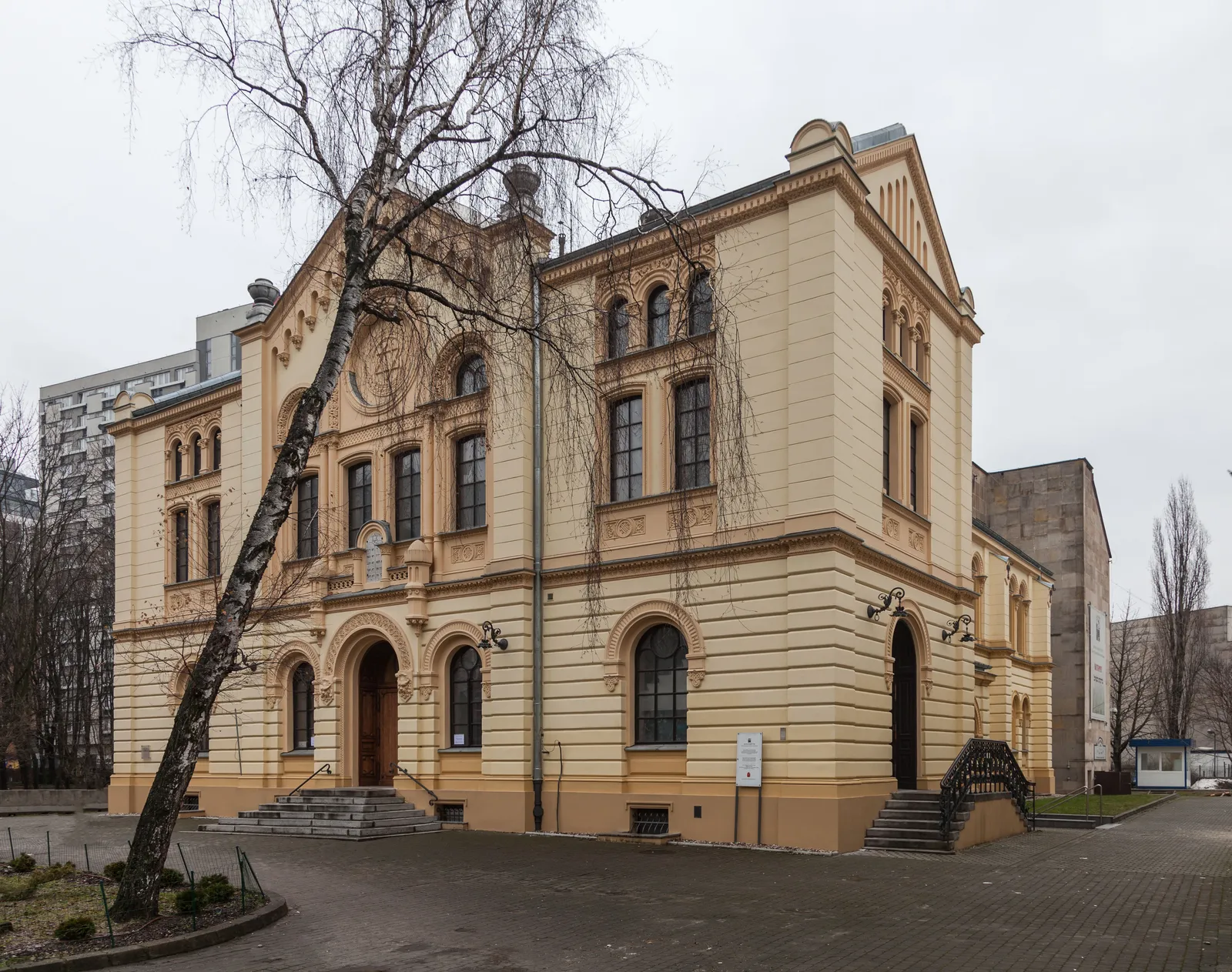 The Nożyk Synagogue in Warsaw, a nineteenth-century building in pale render with round-arched windows and a low flight of steps to its entrance, a bare birch leaning across the front