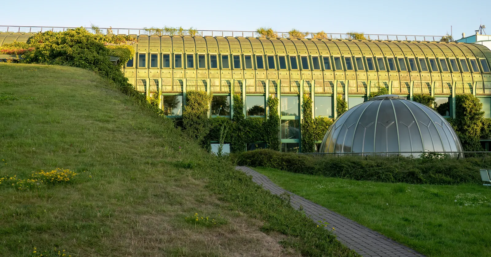 The roof garden on the University of Warsaw Library, a planted grass slope running up to a long glazed roof with a domed skylight set into the lawn beside it