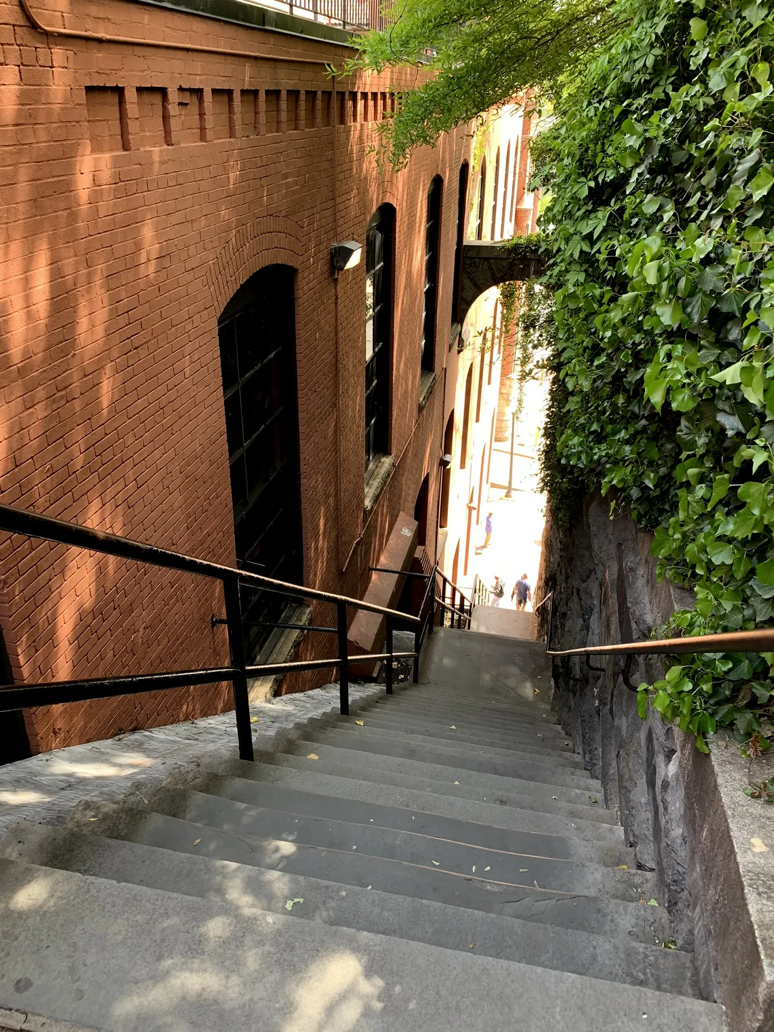 A long flight of narrow stone steps in Georgetown dropping between a red brick wall on one side and an ivy-covered retaining wall on the other