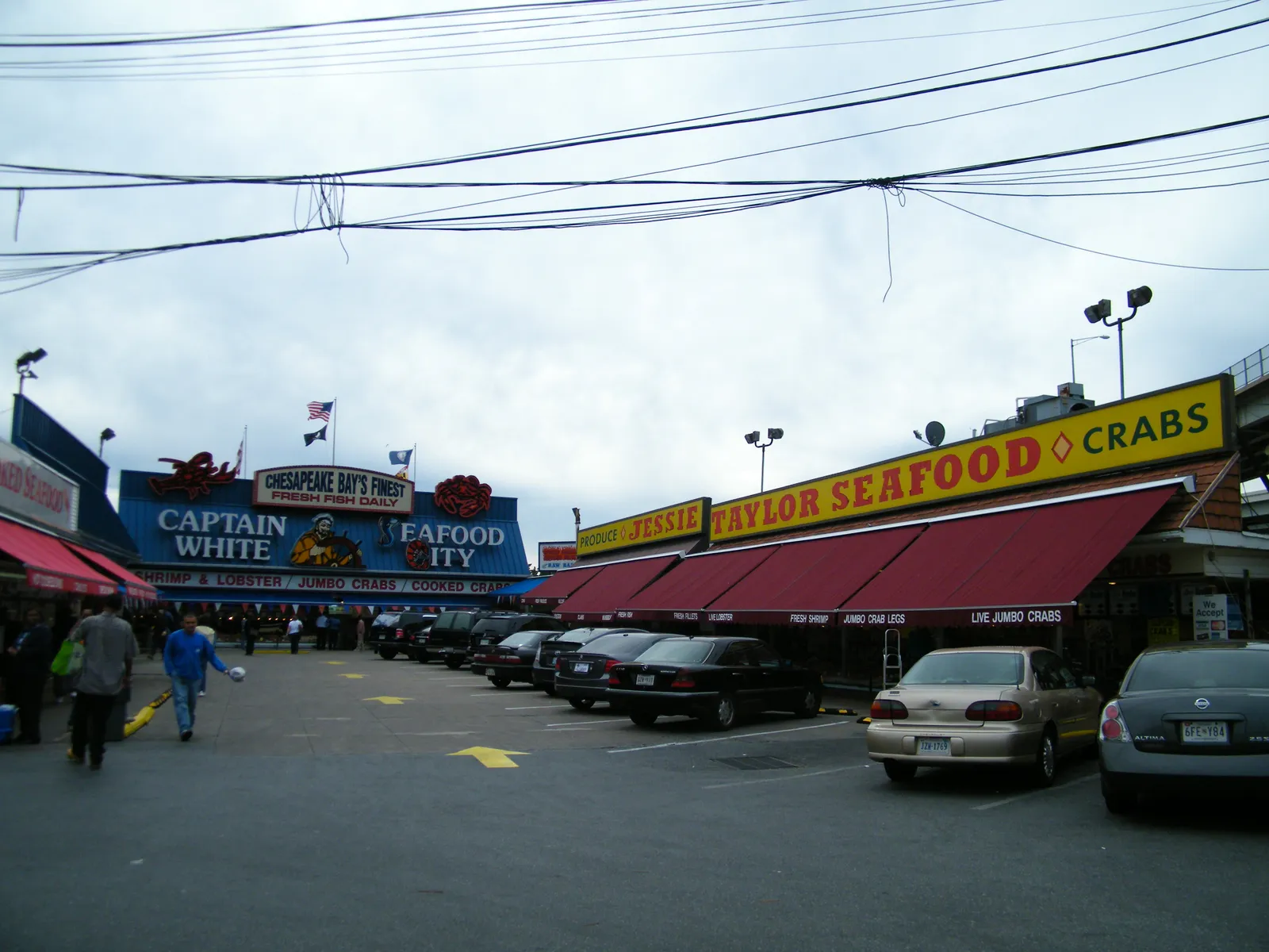 The open-air Municipal Fish Market on Maine Avenue in Washington, with awnings and painted signs over the seafood counters along the quayside
